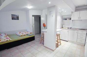 Apartmaji Vega, Ljubljana z okolico