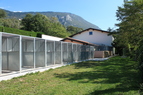 Dog hotel and shelter for pets Oskar Vitovlje, Severna Primorska