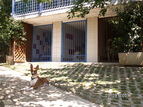Hundhotel Kekec, Nova Gorica