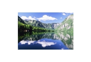 Bohinj Bohinj