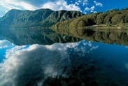 Bohinj Bohinj