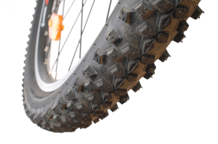 Hai già aperto la stagione ciclistica? Hai già aperto la stagione ciclistica?