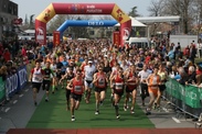 14. mali kraški maraton (23. marec 2014) 14. mali kraški maraton (23. marec 2014)