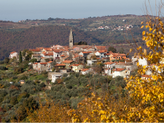 Praznik olja in bledeža v Padni Praznik olja in bledeža v Padni