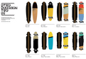 Skate Longboard - skateboarding