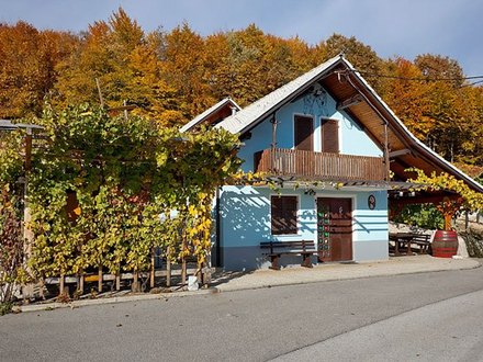 Vineyard cottage Meglič - apartment, Dolenjska