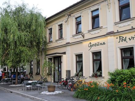 Gostilna Pod vrbo, Ljubljana z okolico