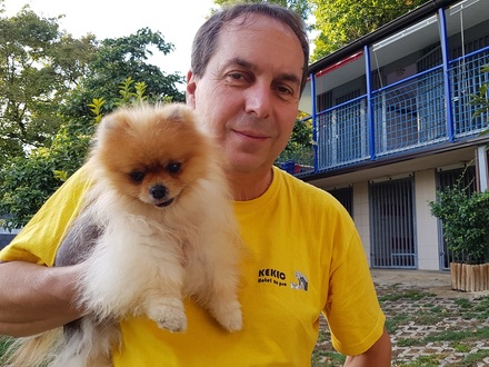 Hotel for dogs Kekec, Nova Gorica