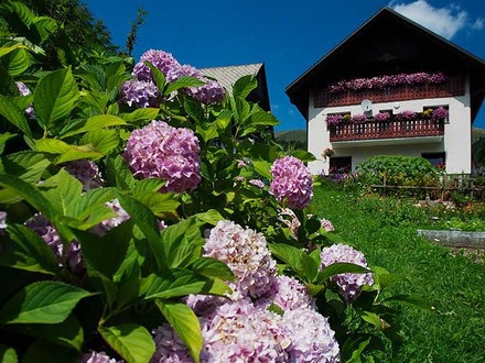 Bauernhoftourismus Betel, Die Julischen Alpe