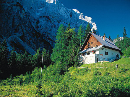 Cottage na Gozdu, Julian Alps
