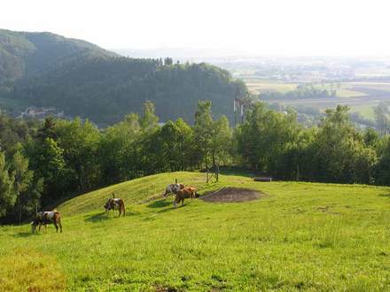 Turistična kmetija pri Lazarju, Ljubljana z okolico