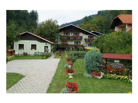 Zeleni apartma, Maribor in Pohorje z okolico
