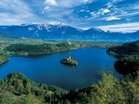 Bled