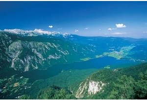 Bohinj Bohinj