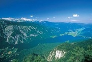 Bohinj Bohinj