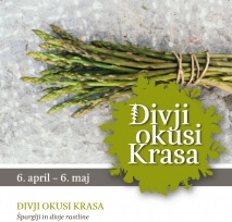 Divji okusa Krasa