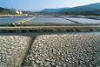 The Sečovlje salt pans, 6320 Portorož