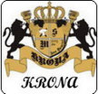 Hotel Krona Hotel Krona, Ihanska cesta 2, 1230 Domžale