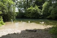 The source of the river Krka, Novo mesto