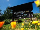 Bauernhoftourismus Betel Bauernhoftourismus Betel, Planina pod Golico 39, 4270 Jesenice