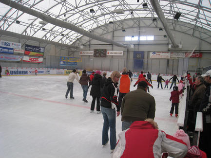 Ledena dvorana Zlato polje, Kranj