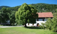 Homestead Trata, Gozd Martuljek