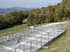 Dog hotel and shelter for pets Oskar Vitovlje Dog hotel and shelter for pets Oskar Vitovlje, Vitovlje 37, 5261 Šempas