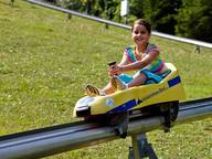 Summer sledding Straža Bled, Bled