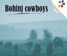 One day package - BOHINJ COWBOYS