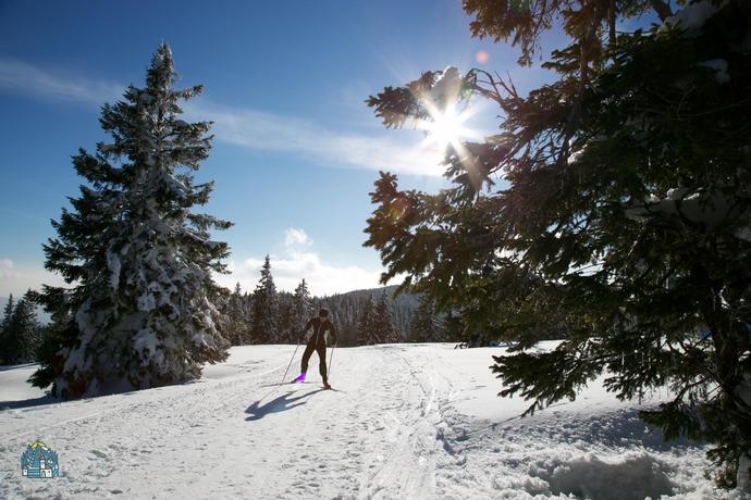 Ski slope Ribniško Pohorje