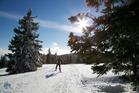 Skipiste Ribniško Pohorje