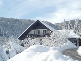 Vacation in small village Ribno near Bled Vacation in small village Ribno near Bled
