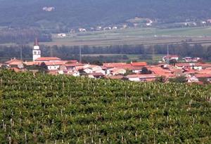 Vipava valley Vipava valley