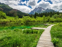 Zelenci so čudovit rezervat in odlična ideja za izlet Zelenci so čudovit rezervat in odlična ideja za izlet