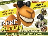 Obiščite živalski park Obiščite živalski park
