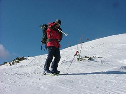 Snežnik
