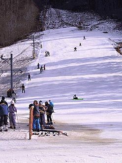 Skipiste Logarska dolina