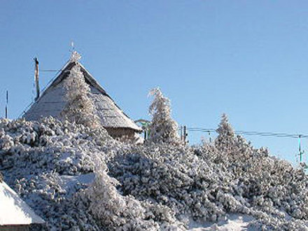 Smučišče Velika planina