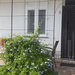 Apartmaji Zvezda