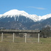 Apartma Toro Bled