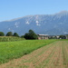 Apartma Toro Bled, Bled