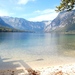 Dandelion House Bohinj