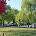 Camping place Lijak, Nova Gorica