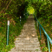 Boarding house Park, Laško