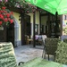 Gasthaus Trebušnik, Die Julischen Alpe