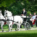 Castle Brdo, Kranj