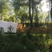 Kamp Koren Kobarid, Kobarid