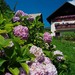 Bauernhoftourismus Betel, Die Julischen Alpe