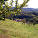 Sorta farm, Štanjel