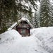 Ferienhütte auf Goreljek - Pokljuka, Bled